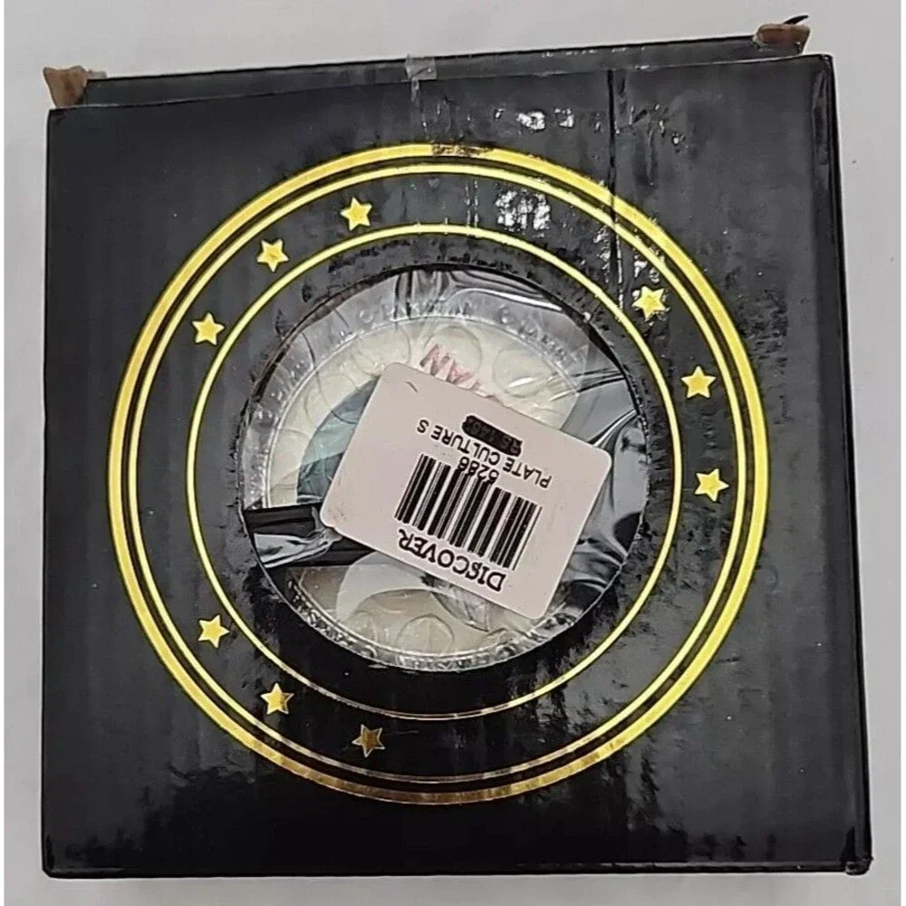 Dynamic Discs Pakistan Mini Plate 4.5 